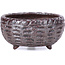 Round brown bonsai pot - 50 x 50 x 25 mm