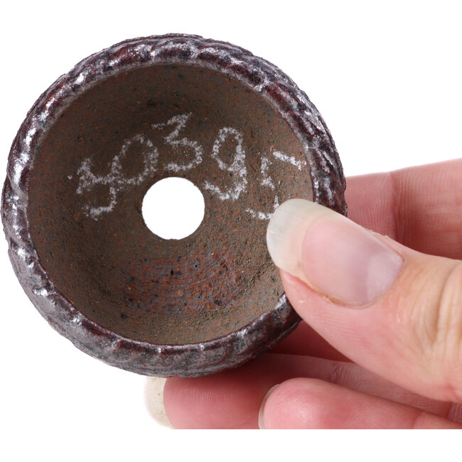 Maceta de bonsái marrón redonda - 52 x 52 x 28 mm