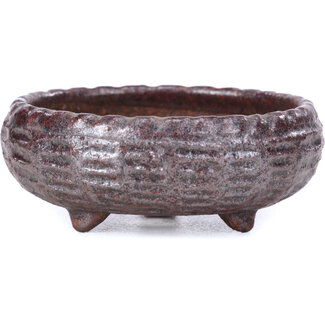  Other Tokoname bonsai pot makers Vaso rotonda marrone da 61 mm di Tokoname, Giappone