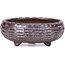 Round brown bonsai pot - 61 x 61 x 25 mm