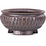 Maceta de bonsái marrón redonda - 60 x 60 x 30 mm