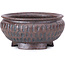 Maceta de bonsái marrón redonda - 60 x 60 x 30 mm