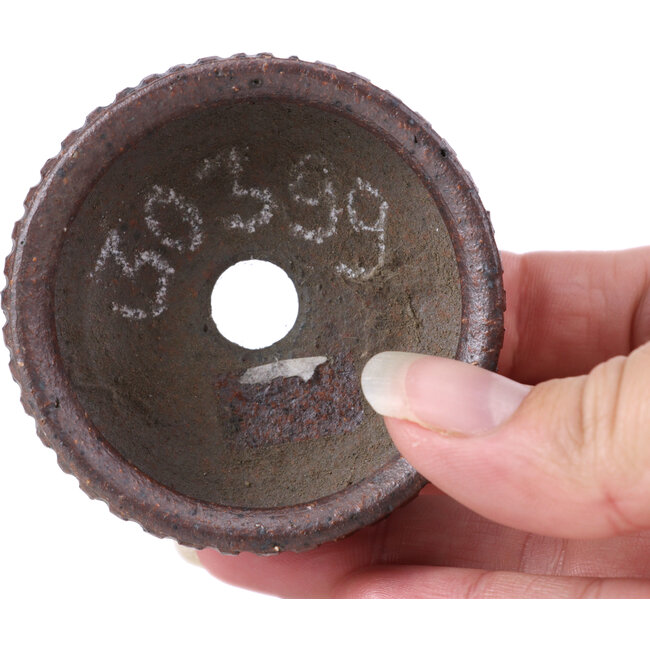 Ronde bruine bonsaipot - 60 x 60 x 30 mm