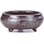 Round brown bonsai pot - 45 x 45 x 26 mm