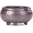 Round brown bonsai pot - 50 x 50 x 25 mm