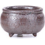 Round brown bonsai pot - 45 x 45 x 30 mm