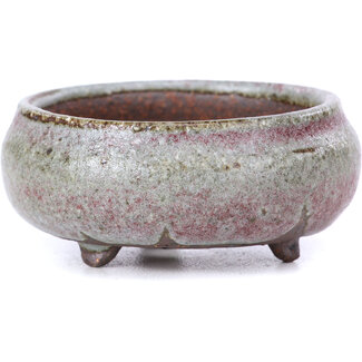  Other Tokoname bonsai pot makers Vaso rotonda non smaltata da 60 mm di Tokoname, Giappone