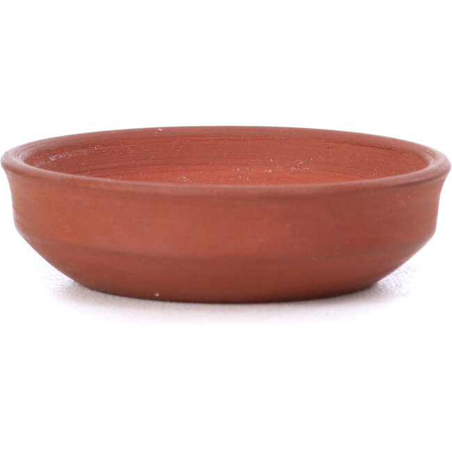 Maceta de bonsái redonda sin esmaltar - 45 x 45 x 10 mm