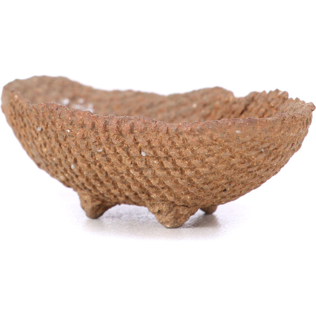 Maceta de bonsái ovalada sin esmaltar - 70 x 40 x 20 mm