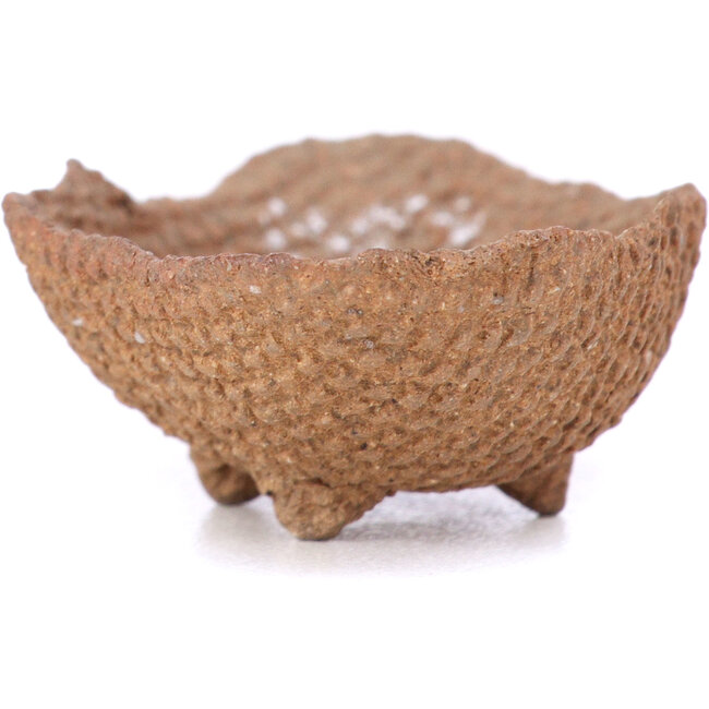 Oval unglazed bonsai pot - 70 x 40 x 20 mm