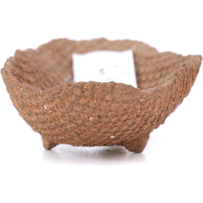 Ovale unglasierte Bonsaischale - 70 x 40 x 20 mm