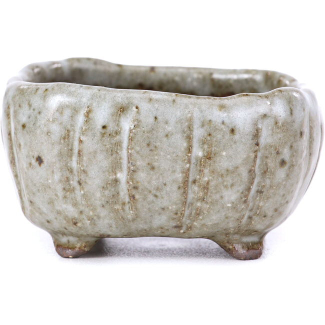 Pot à bonsaï carré émaillé blanc - 70 x 70 x 35 mm