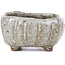 Pot à bonsaï carré émaillé blanc - 70 x 70 x 35 mm