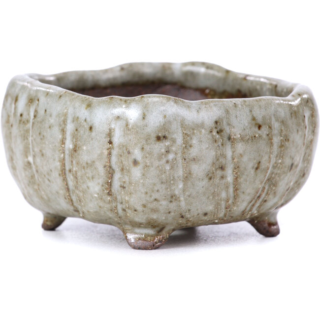 Maceta de bonsái esmaltada blanca cuadrada - 70 x 70 x 35 mm