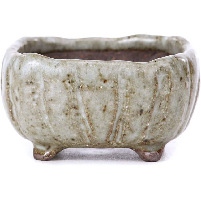 Pot à bonsaï carré émaillé blanc - 70 x 70 x 35 mm