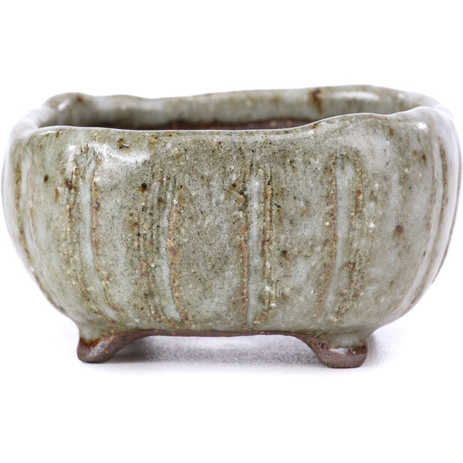Square white bonsai pot - 70 x 70 x 35 mm