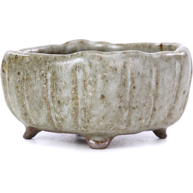 Maceta de bonsái esmaltada blanca cuadrada - 70 x 70 x 35 mm