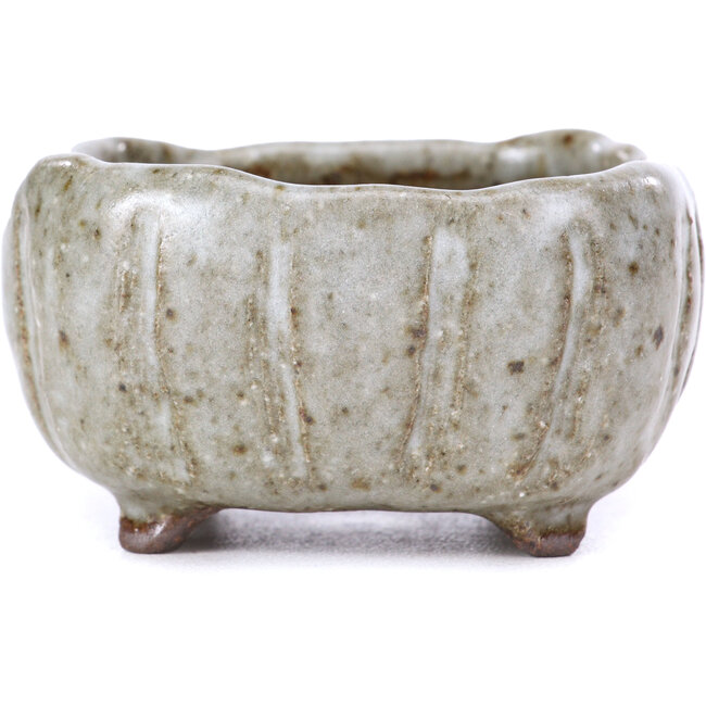 Maceta de bonsái esmaltada blanca cuadrada - 70 x 70 x 35 mm