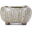 Pot à bonsaï carré émaillé blanc - 70 x 70 x 35 mm