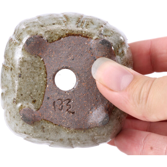 Maceta de bonsái esmaltada blanca cuadrada - 70 x 70 x 35 mm