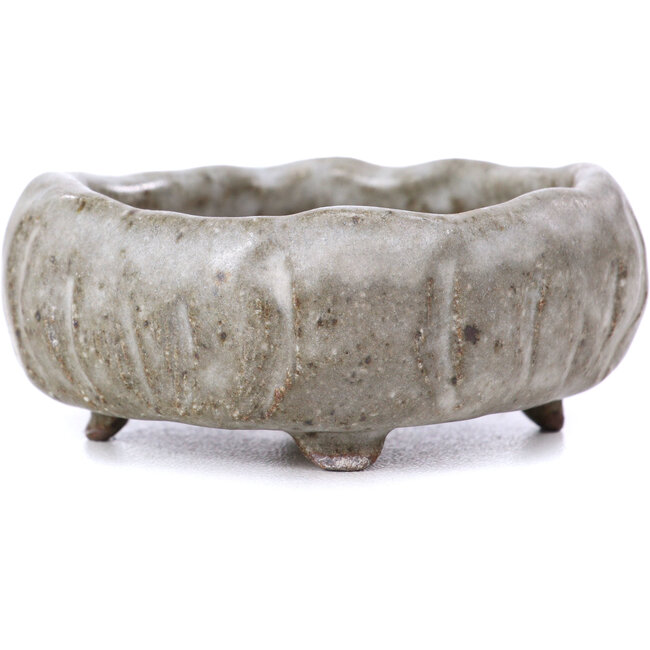 Maceta de bonsái esmaltada gris cuadrada - 60 x 60 x 25 mm