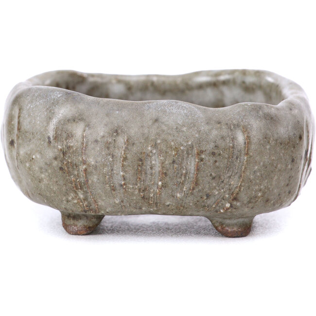 Maceta de bonsái esmaltada gris cuadrada - 60 x 60 x 25 mm