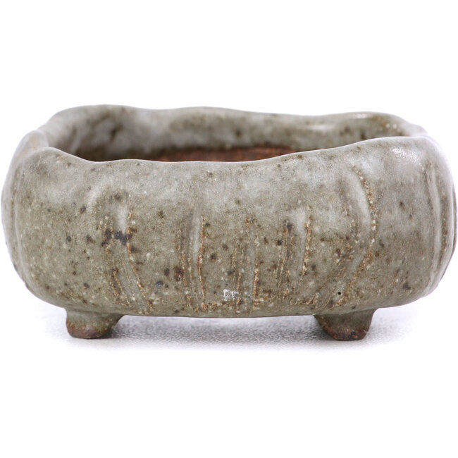 Maceta de bonsái esmaltada gris cuadrada - 60 x 60 x 25 mm