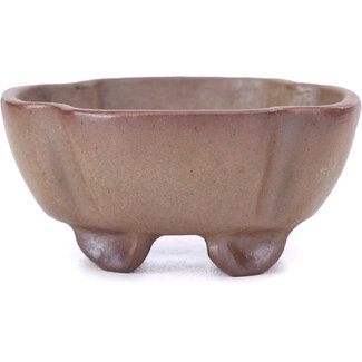  Other Tokoname bonsai pot makers Vaso quadrato marrone da 65 mm di Tokoname, Giappone