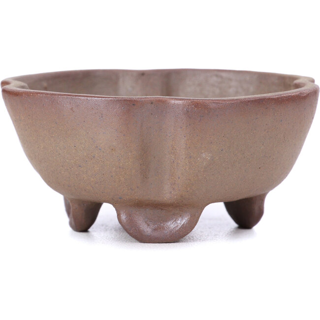 Quadratische braune Bonsaischale - 65 x 65 x 30 mm