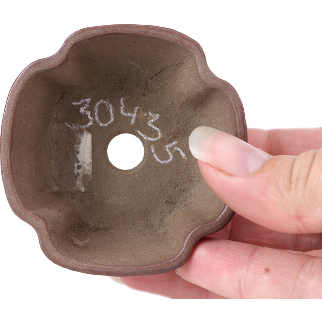 Maceta de bonsái marrón cuadrada - 65 x 65 x 30 mm