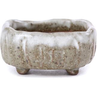  Other Tokoname bonsai pot makers Vaso bianco quadrato da 55 mm di Tokoname, Giappone