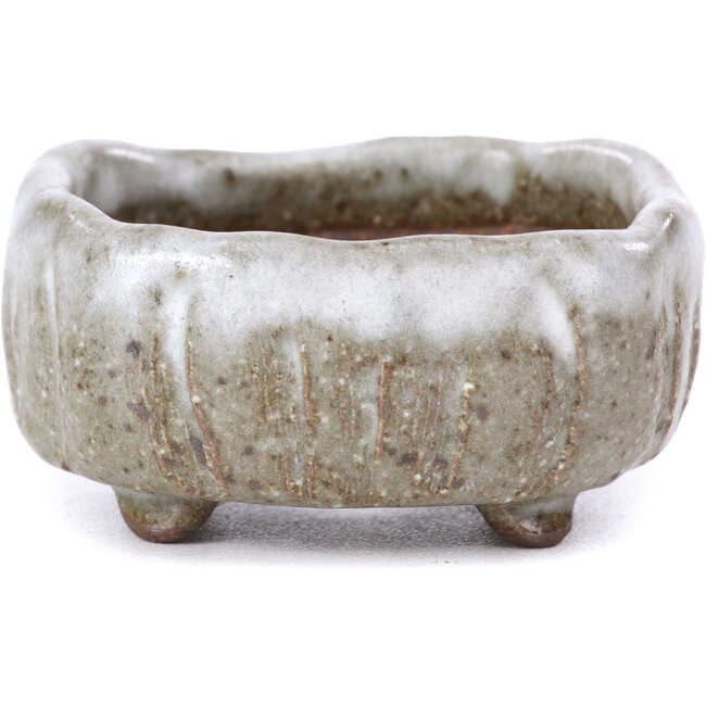 Vierkante witte bonsaipot - 55 x 55 x 25 mm