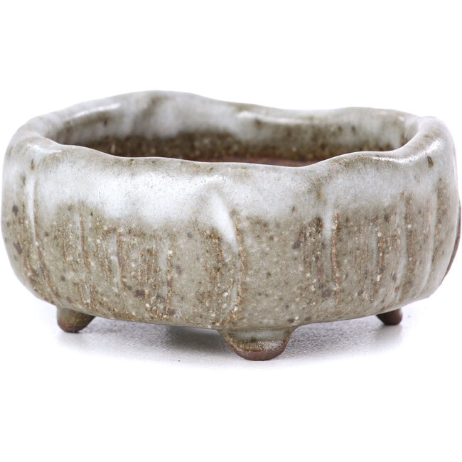 Maceta de bonsái blanca cuadrada - 55 x 55 x 25 mm