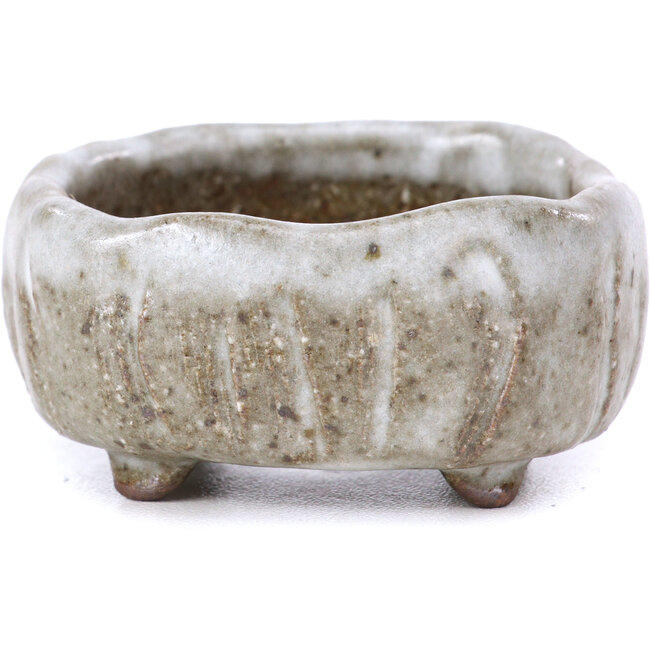 Vierkante witte bonsaipot - 55 x 55 x 25 mm