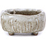Pot à bonsaï carré blanc - 55 x 55 x 25 mm