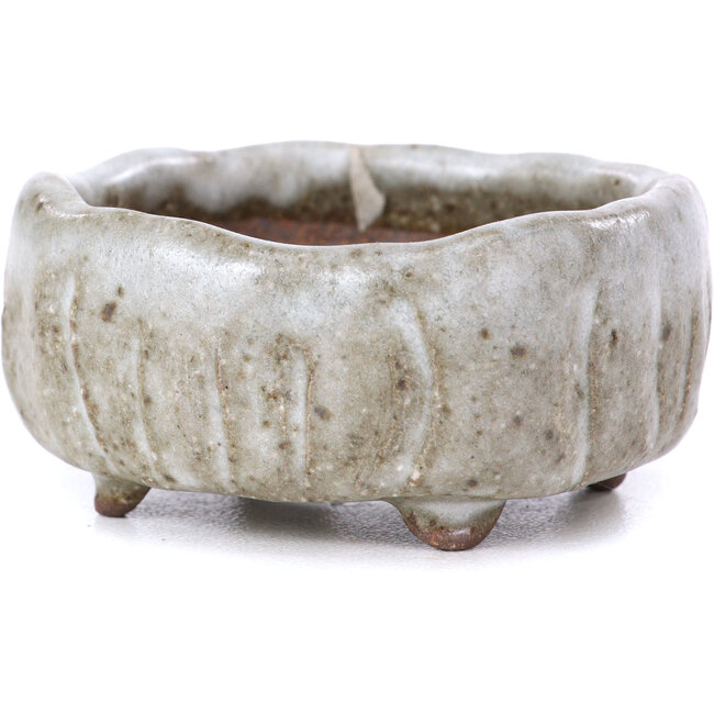 Square white bonsai pot - 55 x 55 x 25 mm