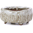 Pot à bonsaï carré blanc - 55 x 55 x 25 mm