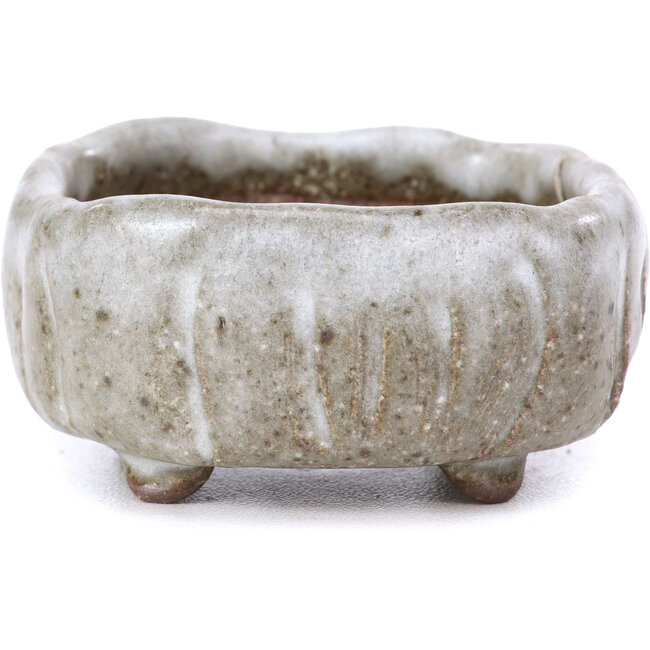 Vaso per bonsai quadrato bianco - 55 x 55 x 25 mm