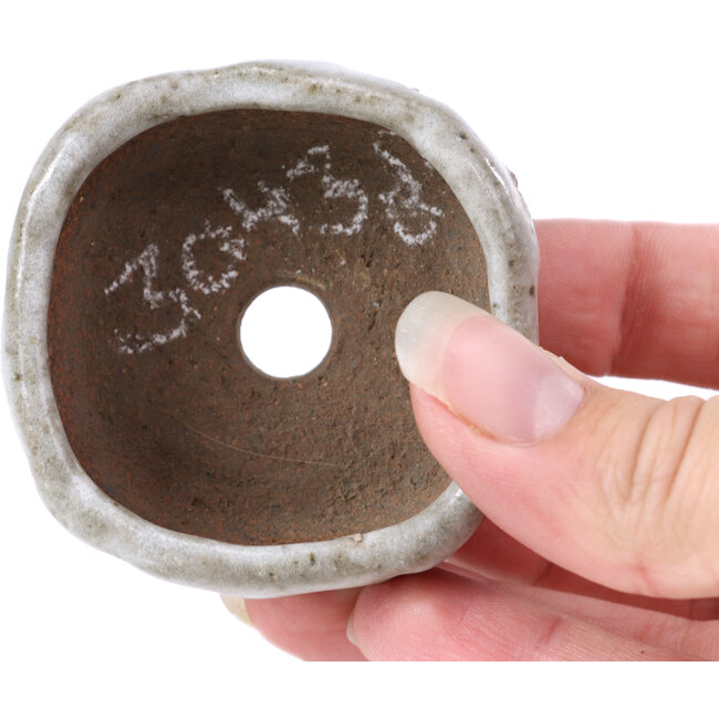 Square white bonsai pot - 55 x 55 x 25 mm