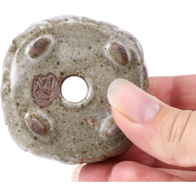 Vaso per bonsai quadrato bianco - 55 x 55 x 25 mm