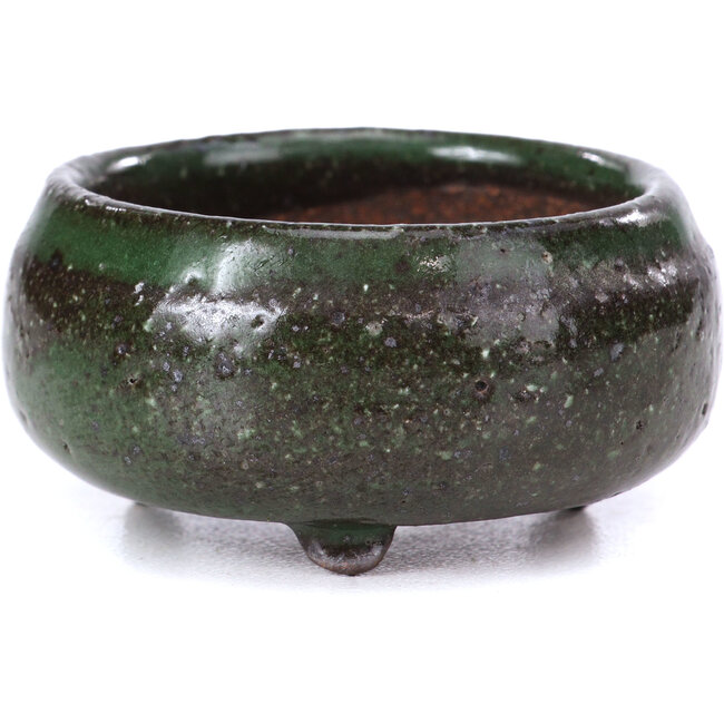 Ronde groene bonsaipot - 50 x 50 x 25 mm