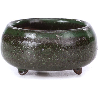  Other Tokoname bonsai pot makers 50 mm round green pot from Tokoname, Japan