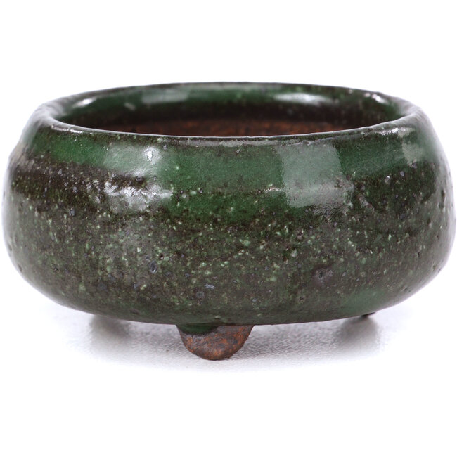 Ronde groene bonsaipot - 50 x 50 x 25 mm