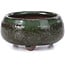 Vaso per bonsai verde rotondo - 50 x 50 x 25 mm