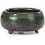 Pot à bonsaï rond vert - 50 x 50 x 25 mm