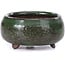 Vaso per bonsai verde rotondo - 50 x 50 x 25 mm