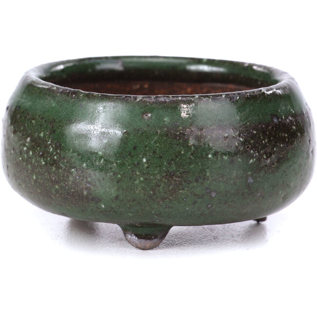 Pot à bonsaï rond vert - 50 x 50 x 25 mm