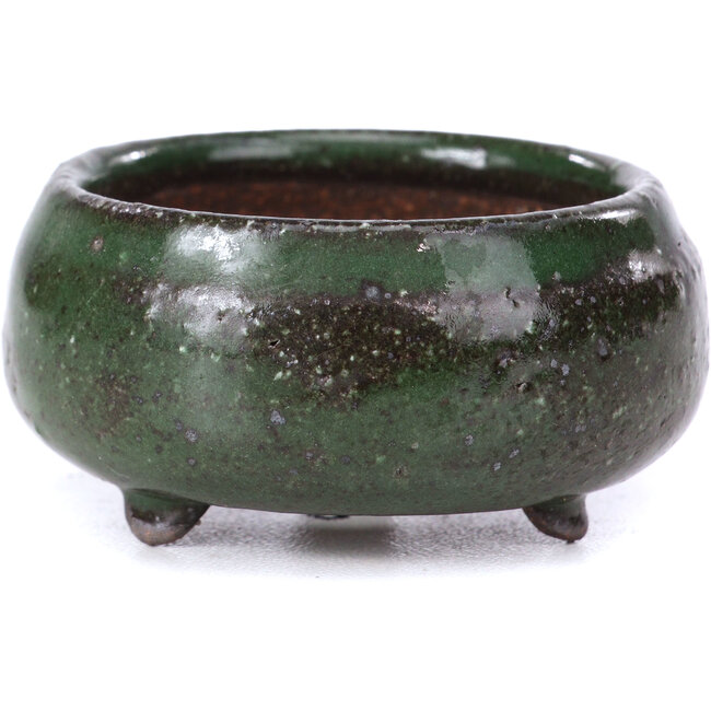 Ronde groene bonsaipot - 50 x 50 x 25 mm