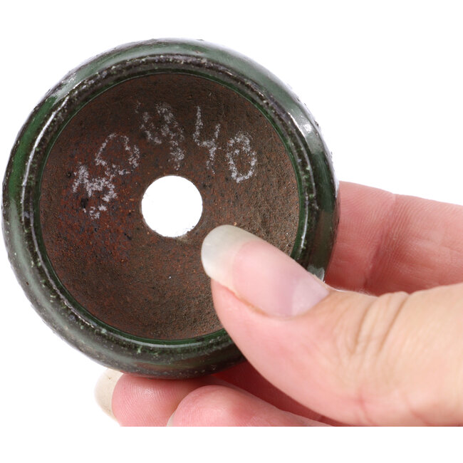 Pot à bonsaï rond vert - 50 x 50 x 25 mm