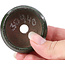 Ronde groene bonsaipot - 50 x 50 x 25 mm